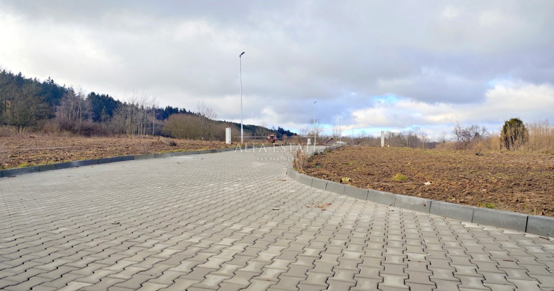 163_4453598832.jpg