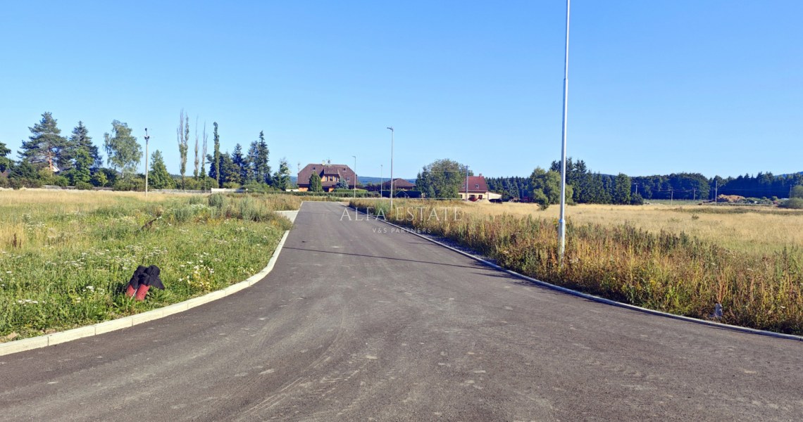 21_5169736502.jpg