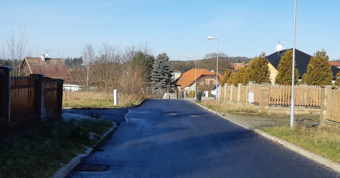 245_9221987021.jpg
